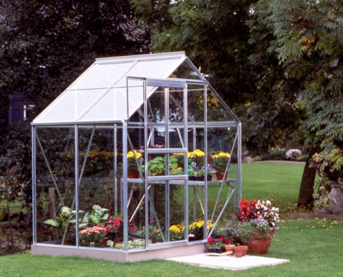 Popular 46 Greenhouse
