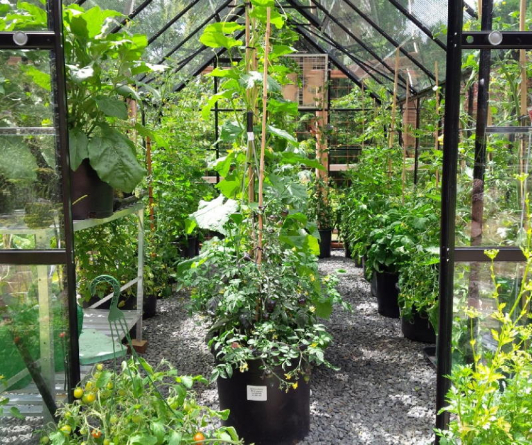 About Halls Halls Greenhouses